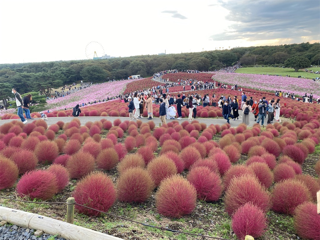 f:id:fifthruru:20220203103747j:image f:id:fifthruru:20220203103747j:image