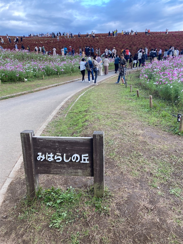 f:id:fifthruru:20220203103756j:image f:id:fifthruru:20220203103756j:image