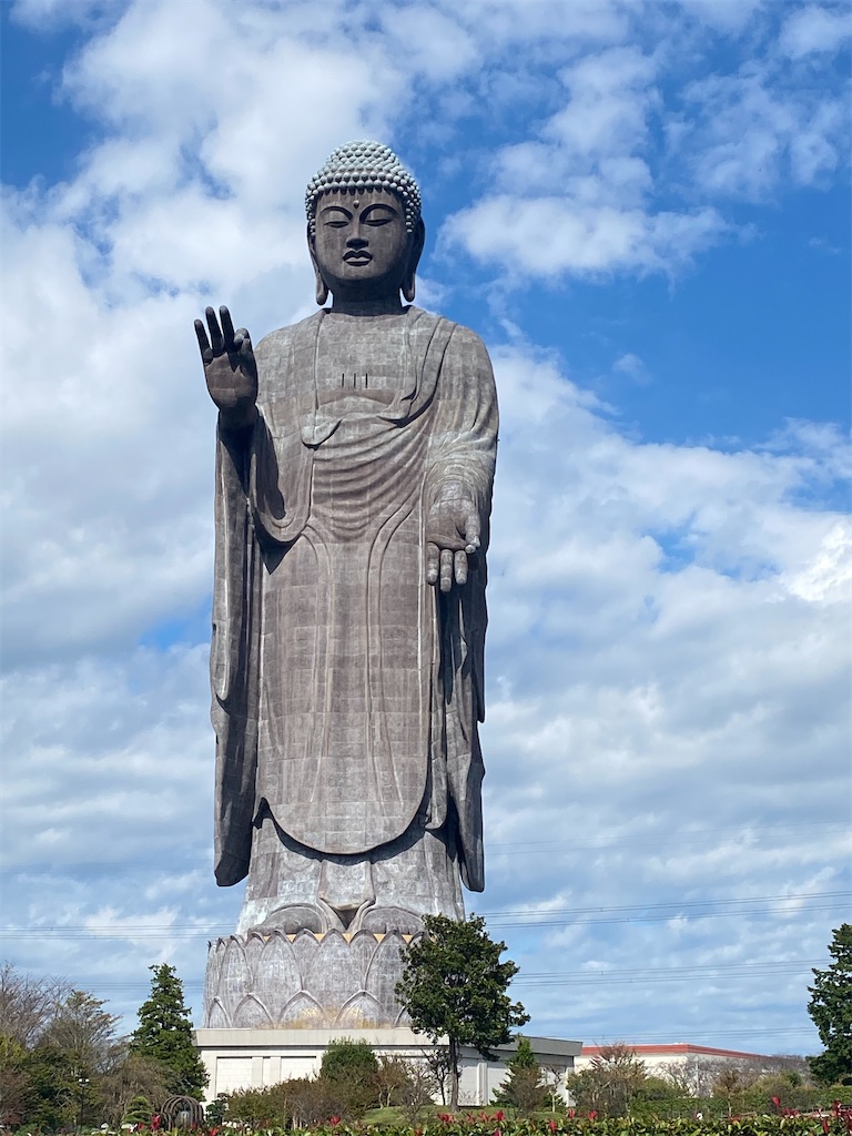 f:id:fifthruru:20220203103804j:image f:id:fifthruru:20220203103804j:image