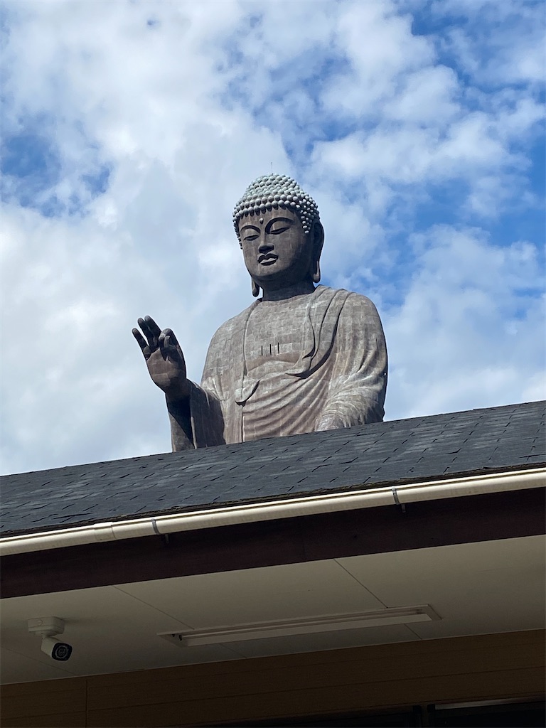 f:id:fifthruru:20220203103819j:image f:id:fifthruru:20220203103819j:image