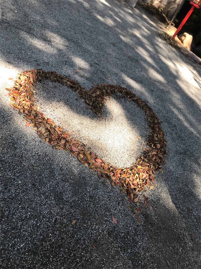 f:id:fifthruru:20220205091041j:image f:id:fifthruru:20220205091041j:image