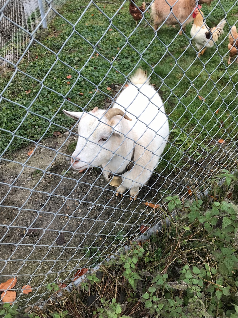 f:id:fifthruru:20220207170713j:image f:id:fifthruru:20220207170713j:image