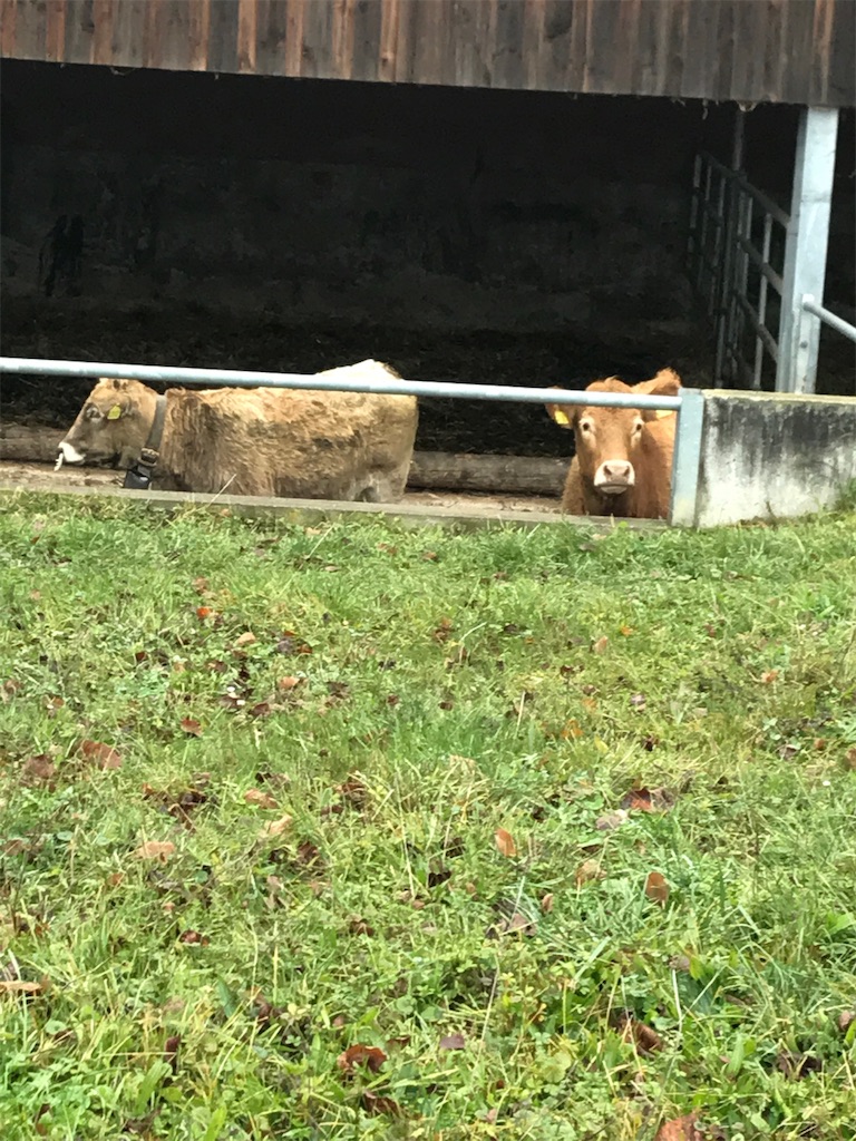 f:id:fifthruru:20220207170718j:image f:id:fifthruru:20220207170718j:image