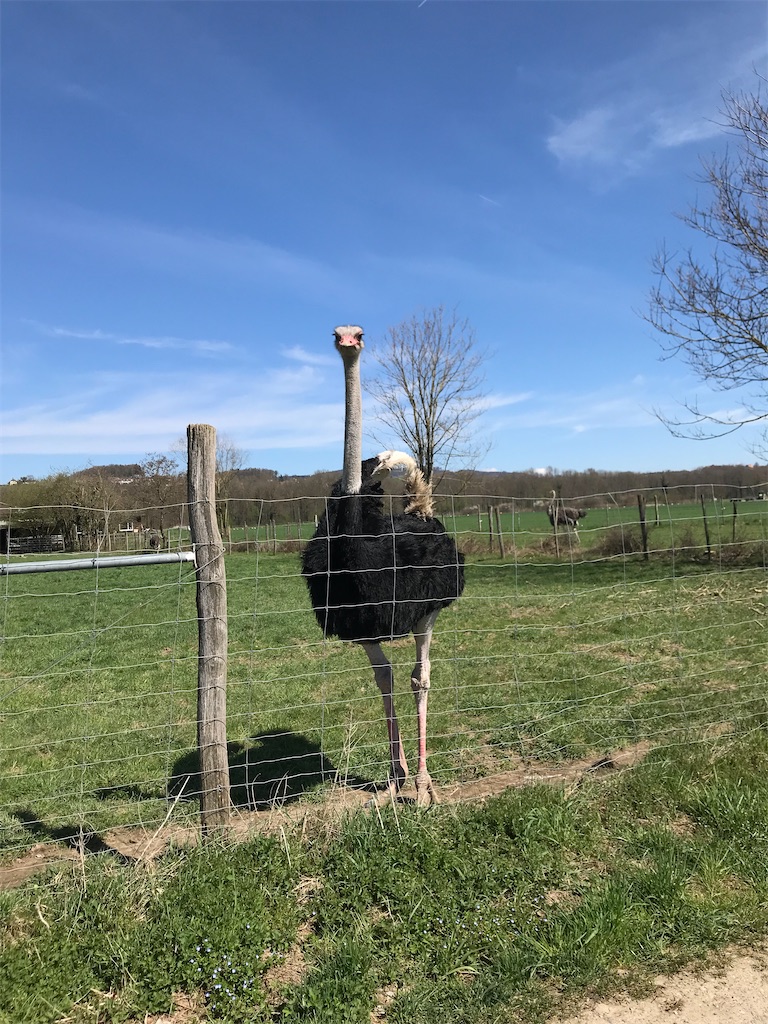 f:id:fifthruru:20220207170724j:image f:id:fifthruru:20220207170724j:image