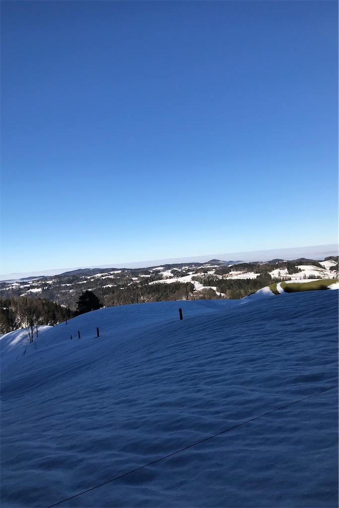 f:id:fifthruru:20220207170747j:image f:id:fifthruru:20220207170747j:image