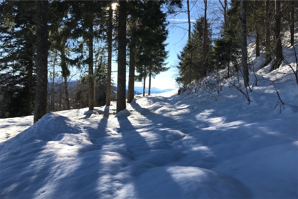 f:id:fifthruru:20220207170751j:image f:id:fifthruru:20220207170751j:image