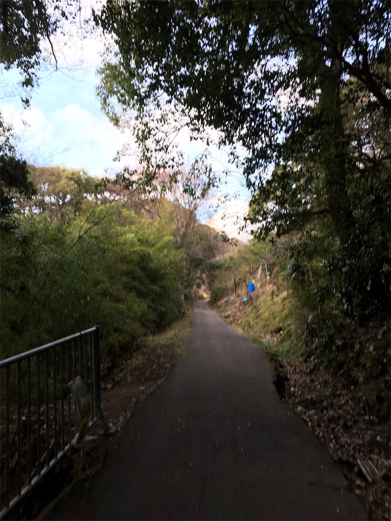 f:id:figaroarbacemaratesta:20180207133306j:image