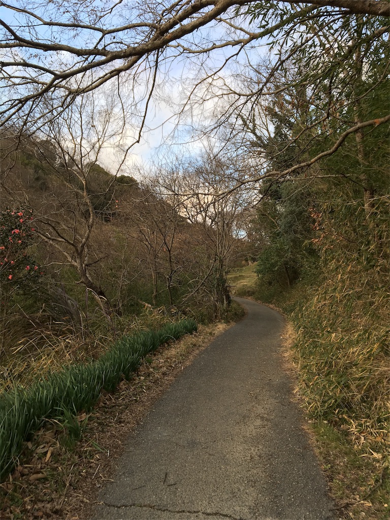 f:id:figaroarbacemaratesta:20180207133328j:image