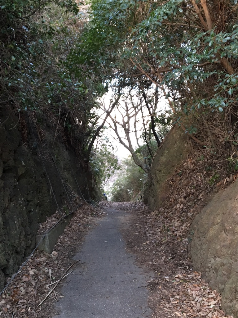 f:id:figaroarbacemaratesta:20180207133837j:image