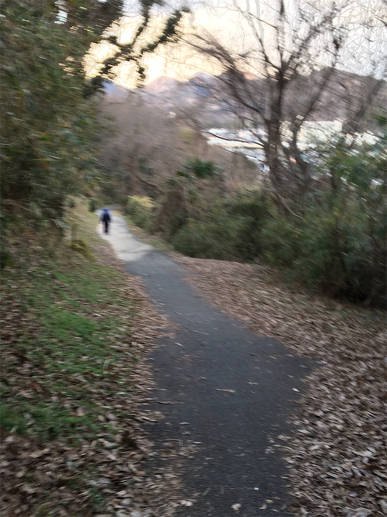 f:id:figaroarbacemaratesta:20180207134102j:image