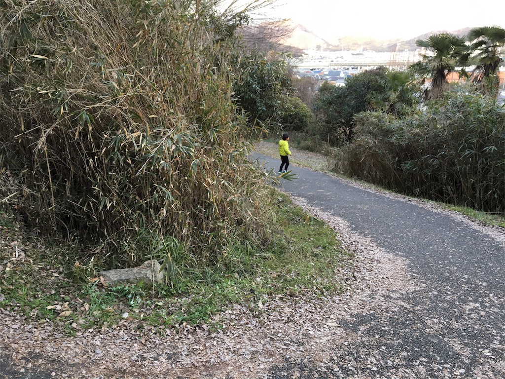 f:id:figaroarbacemaratesta:20180207134420j:image