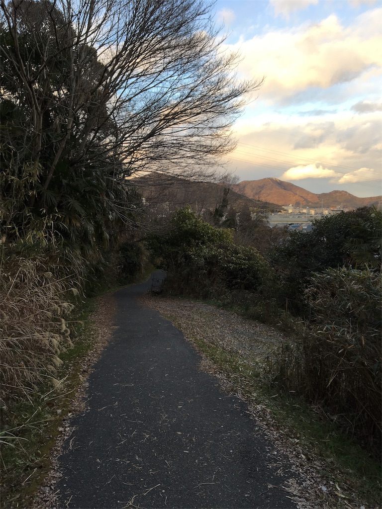 f:id:figaroarbacemaratesta:20180207134544j:image