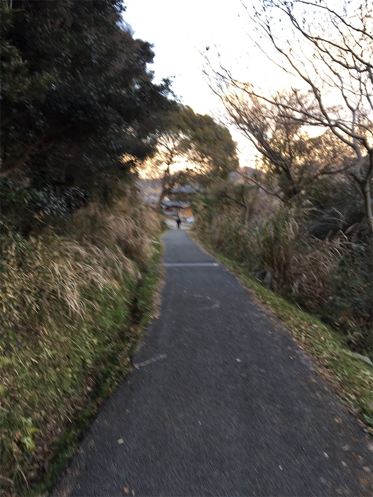 f:id:figaroarbacemaratesta:20180207134558j:image