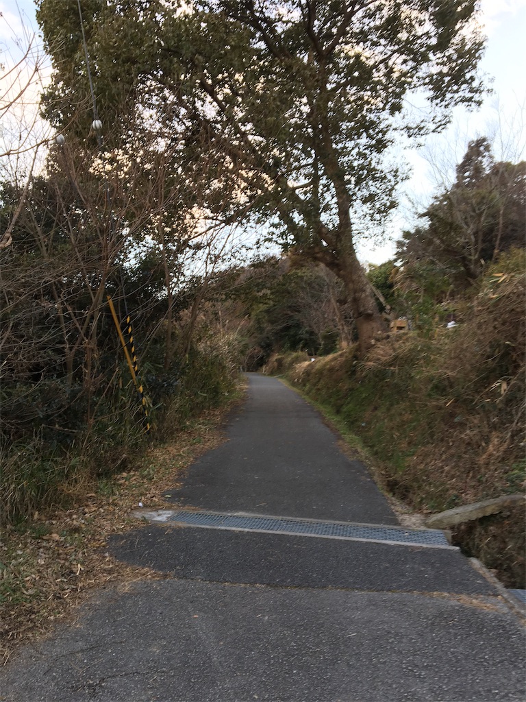 f:id:figaroarbacemaratesta:20180207134712j:image