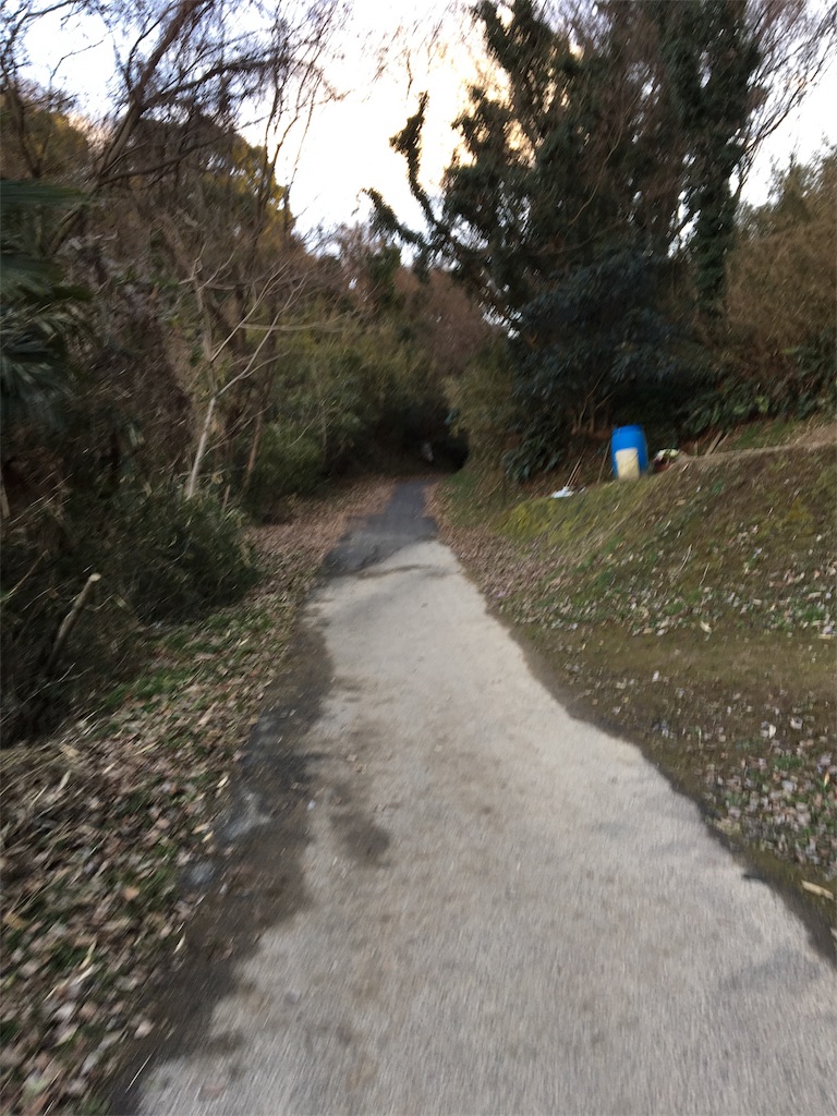 f:id:figaroarbacemaratesta:20180207135155j:image