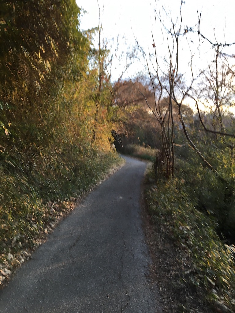 f:id:figaroarbacemaratesta:20180207135525j:image