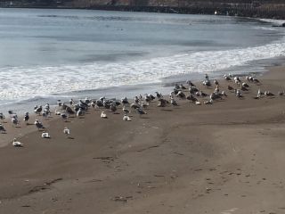 f:id:fighting_ferret:20150216093145j:plain f:id:fighting_ferret:20150216093145j:plain