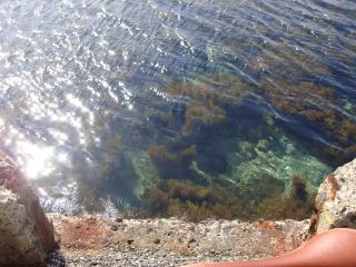 f:id:fighting_ferret:20150216093549j:plain f:id:fighting_ferret:20150216093549j:plain