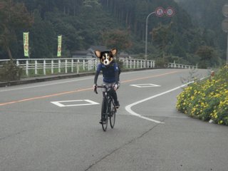 f:id:fighting_ferret:20160930092725j:plain f:id:fighting_ferret:20160930092725j:plain