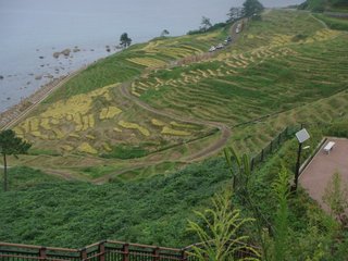 f:id:fighting_ferret:20160930095621j:plain f:id:fighting_ferret:20160930095621j:plain