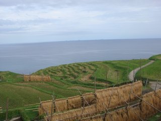 f:id:fighting_ferret:20160930095701j:plain f:id:fighting_ferret:20160930095701j:plain