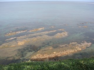 f:id:fighting_ferret:20161003084637j:plain