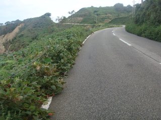 f:id:fighting_ferret:20161003085125j:plain