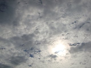 f:id:fighting_ferret:20161003085450j:plain