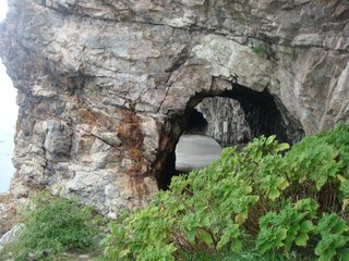 f:id:fighting_ferret:20161003090349j:plain