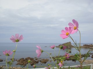 f:id:fighting_ferret:20161009212958j:plain f:id:fighting_ferret:20161009212958j:plain