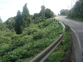 f:id:fighting_ferret:20161009215455j:plain f:id:fighting_ferret:20161009215455j:plain