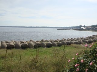 f:id:fighting_ferret:20161009220306j:plain f:id:fighting_ferret:20161009220306j:plain