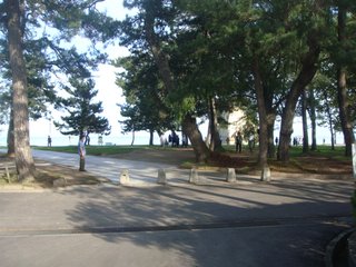 f:id:fighting_ferret:20161009221024j:plain f:id:fighting_ferret:20161009221024j:plain