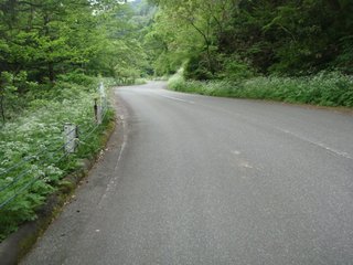 f:id:fighting_ferret:20170512095638j:plain f:id:fighting_ferret:20170512095638j:plain