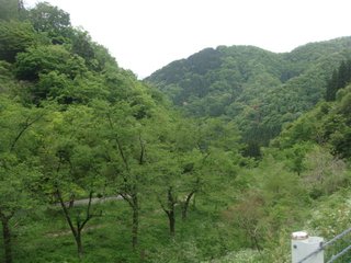 f:id:fighting_ferret:20170512095838j:plain f:id:fighting_ferret:20170512095838j:plain