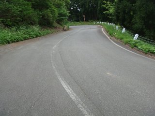 f:id:fighting_ferret:20170512100200j:plain f:id:fighting_ferret:20170512100200j:plain