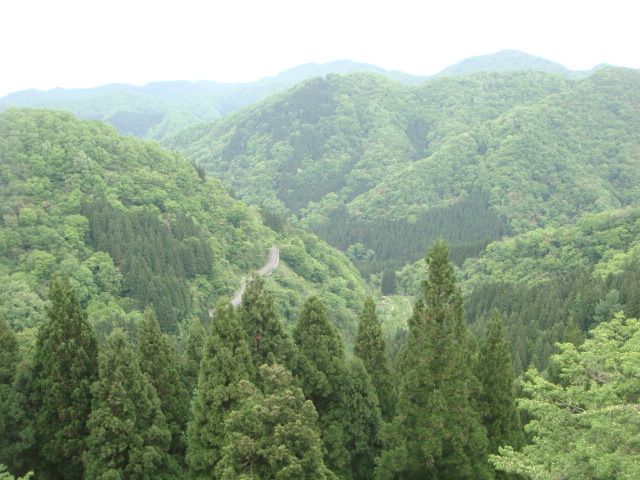 f:id:fighting_ferret:20170512100341j:plain f:id:fighting_ferret:20170512100341j:plain