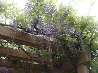 f:id:fighting_ferret:20170512101305j:plain f:id:fighting_ferret:20170512101305j:plain