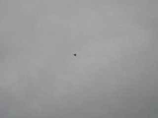 f:id:fighting_ferret:20170512104305j:plain f:id:fighting_ferret:20170512104305j:plain