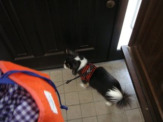 f:id:fighting_ferret:20180313183711j:plain