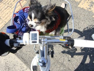 f:id:fighting_ferret:20180313183810j:plain