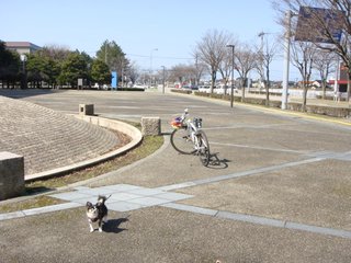 f:id:fighting_ferret:20180313183821j:plain