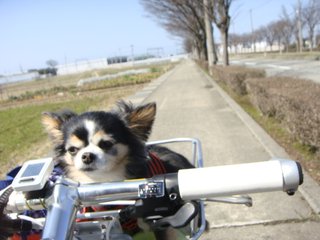 f:id:fighting_ferret:20180313183853j:plain