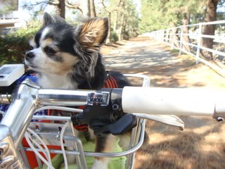 f:id:fighting_ferret:20180313183917j:plain