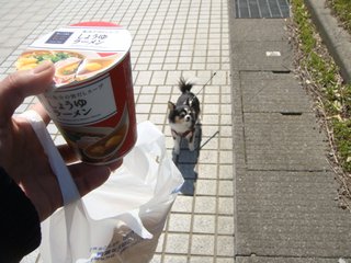 f:id:fighting_ferret:20180313184338j:plain