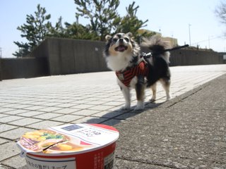 f:id:fighting_ferret:20180313184407j:plain