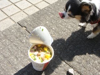 f:id:fighting_ferret:20180313184424j:plain