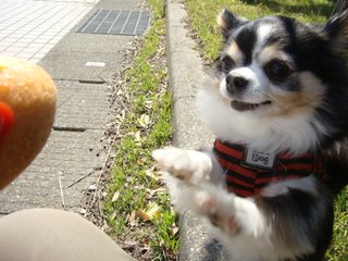 f:id:fighting_ferret:20180313184505j:plain