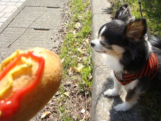 f:id:fighting_ferret:20180313184527j:plain