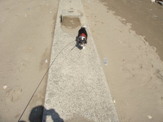 f:id:fighting_ferret:20180313184629j:plain